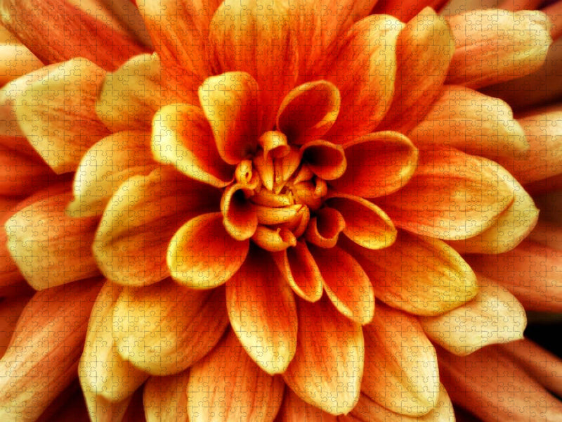 Flalming - CALVENDO Foto-Puzzle'