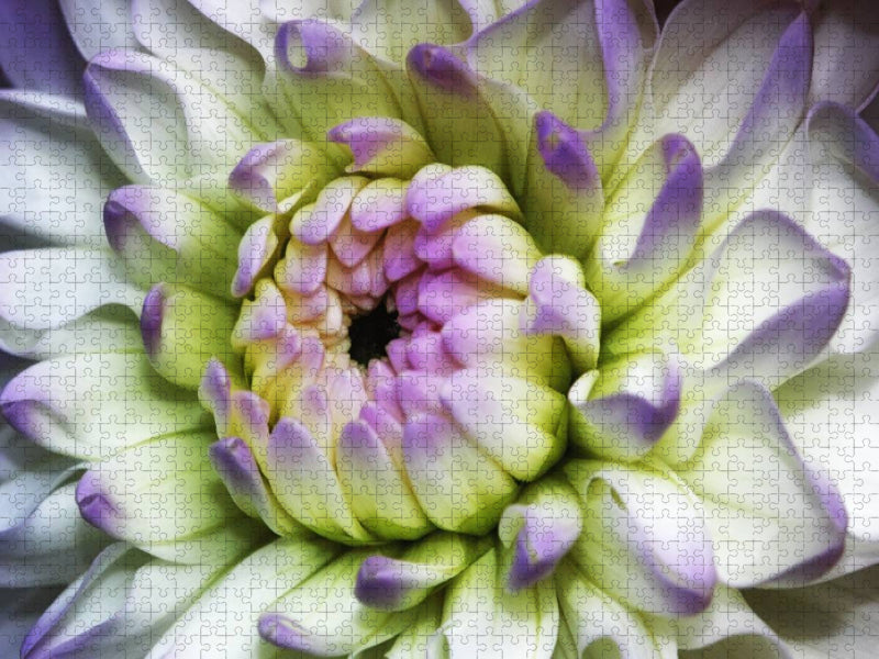 Versprechen - CALVENDO Foto-Puzzle'