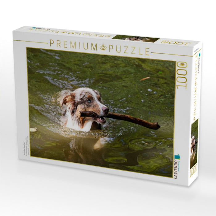 Australian Shepherd - CALVENDO Foto-Puzzle'