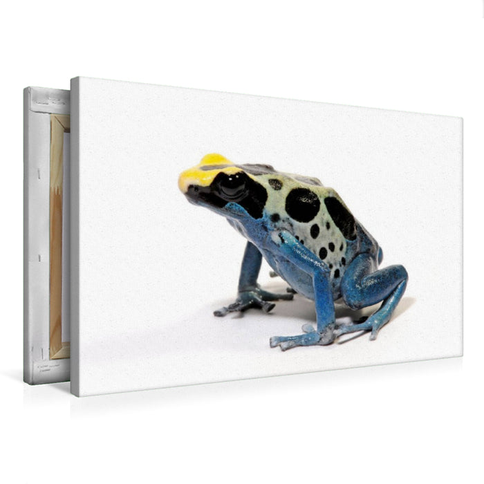 Premium Textil-Leinwand Färberfrosch - Dendrobates tinctorius
