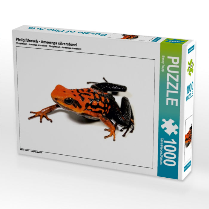Pfeilgiftfrosch - Ameerega silverstonei 1000 Teile Puzzle quer - CALVENDO Foto-Puzzle'