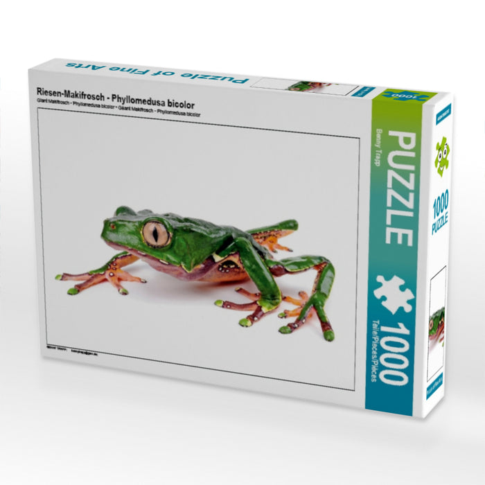 Riesen-Makifrosch - Phyllomedusa bicolor 1000 Teile Puzzle quer - CALVENDO Foto-Puzzle'