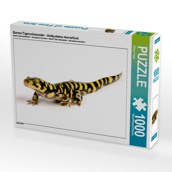 Barren-Tigersalamander - Ambystoma mavortium 1000 Teile Puzzle quer - CALVENDO Foto-Puzzle'