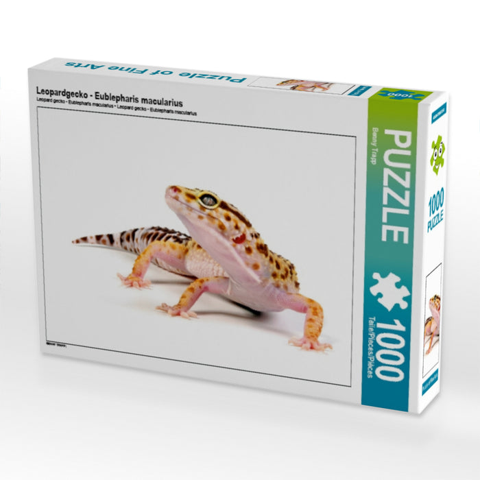 Gecko léopard - Eublepharis macularius - Puzzle photo CALVENDO 