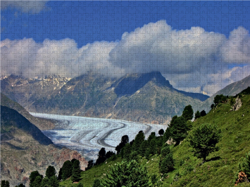 Blick aus dem Aletschwald auf den Aletschgletscher 1000 Teile Puzzle quer - CALVENDO Foto-Puzzle'