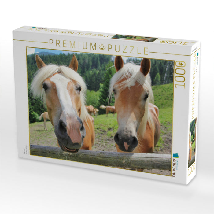 Die zwei - CALVENDO Foto-Puzzle'