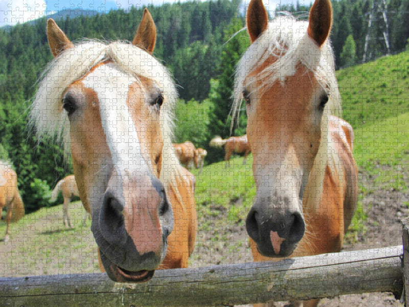 Die zwei - CALVENDO Foto-Puzzle'