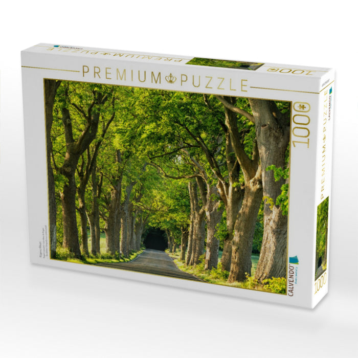Rügens Alleen - CALVENDO Foto-Puzzle'