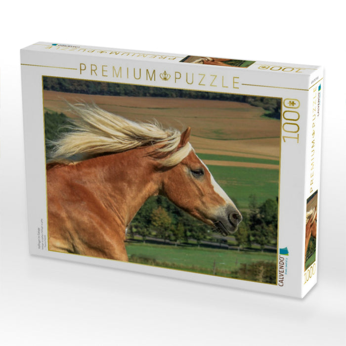 Haflinger im Galopp - CALVENDO Foto-Puzzle'
