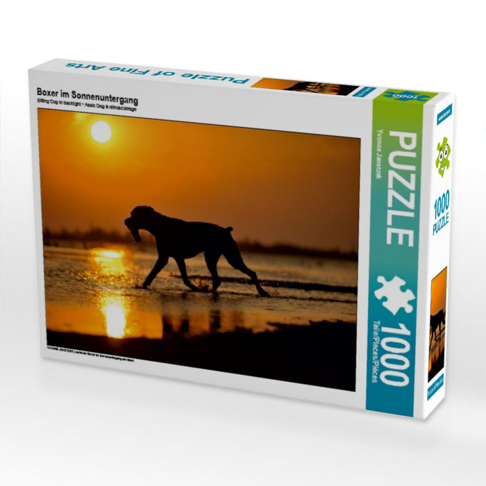 Boxer im Sonnenuntergang 1000 Teile Puzzle quer - CALVENDO Foto-Puzzle'