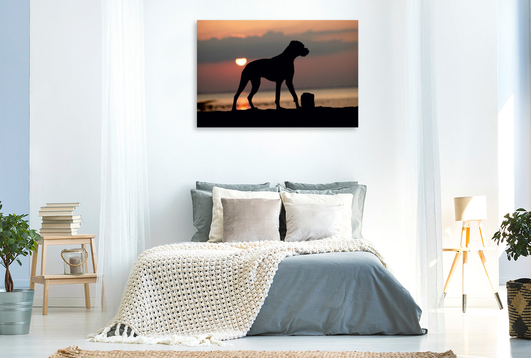 Premium Textil-Leinwand Premium Textil-Leinwand 120 cm x 80 cm quer Stehender Hund im Sonnenuntergang