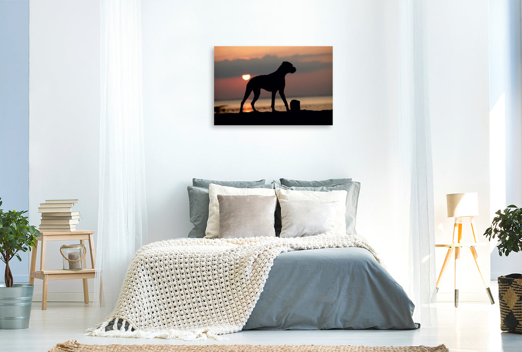 Premium Textil-Leinwand Premium Textil-Leinwand 120 cm x 80 cm quer Stehender Hund im Sonnenuntergang