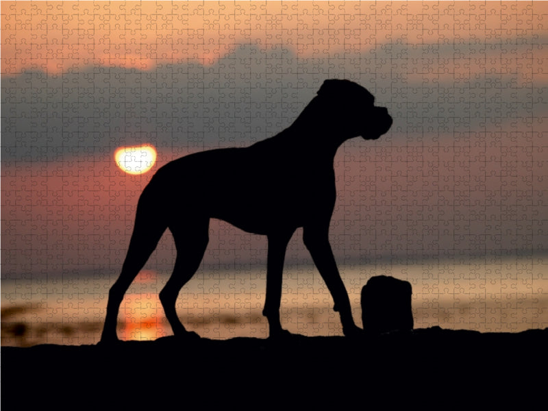 Stehender Hund im Sonnenuntergang 1000 Teile Puzzle quer - CALVENDO Foto-Puzzle'