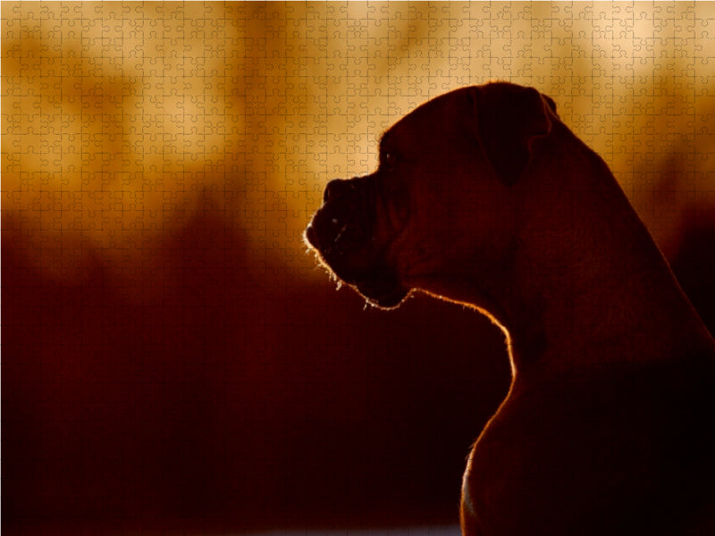 Hund im Sonnenuntergang 1000 Teile Puzzle quer - CALVENDO Foto-Puzzle'