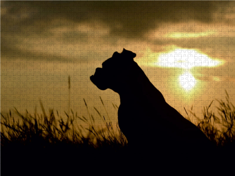 Hund im Sonnenuntergang 1000 Teile Puzzle quer - CALVENDO Foto-Puzzle'