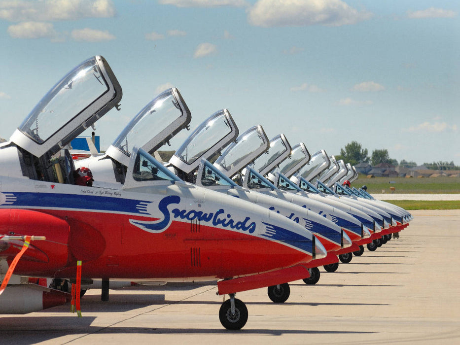 Ein Motiv aus dem Kalender SNOWBIRDS - CALVENDO Foto-Puzzle'