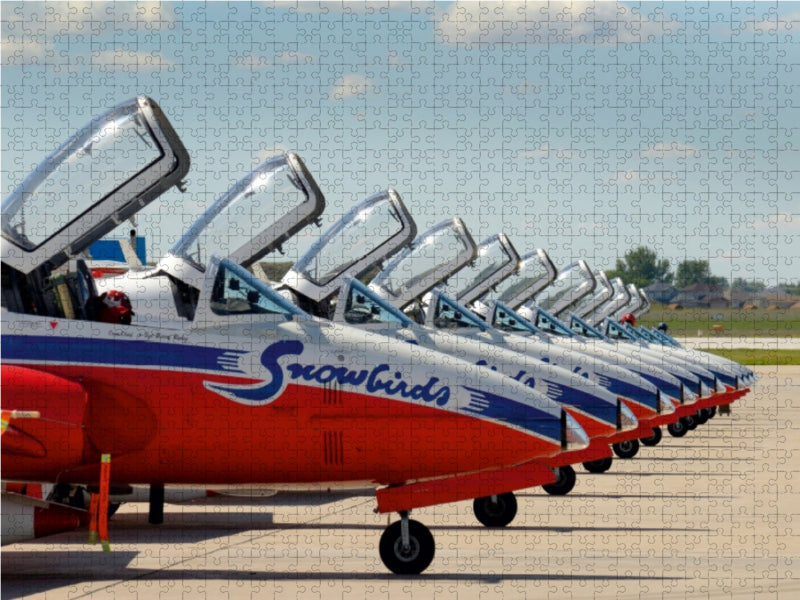Ein Motiv aus dem Kalender SNOWBIRDS 1000 Teile Puzzle quer - CALVENDO Foto-Puzzle'