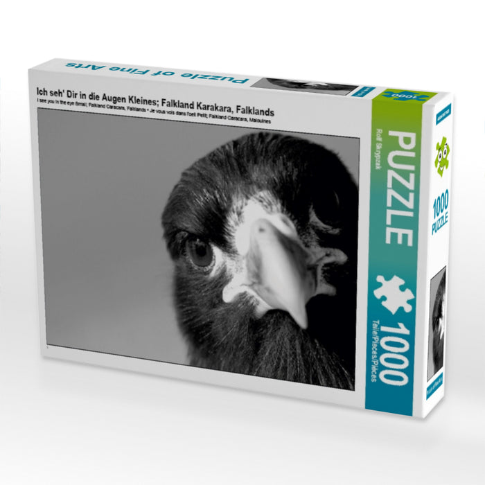 Ich seh' Dir in die Augen Kleines; Falkland Karakara, Falklands 1000 Teile Puzzle quer - CALVENDO Foto-Puzzle'