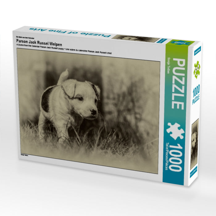 Ein Motiv aus dem Kalender Parson Jack Russel Welpen 1000 Teile Puzzle quer - CALVENDO Foto-Puzzle'