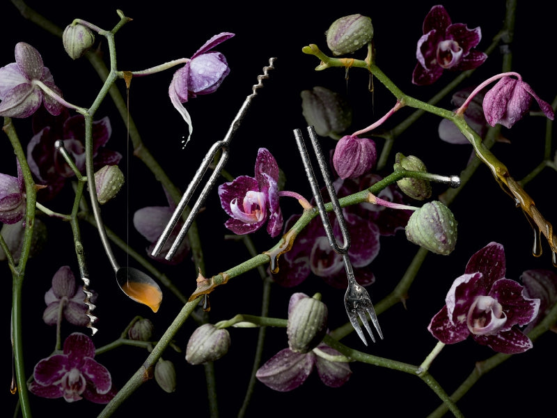 Orchidea diapasona 1000 Teile Puzzle quer - CALVENDO Foto-Puzzle'
