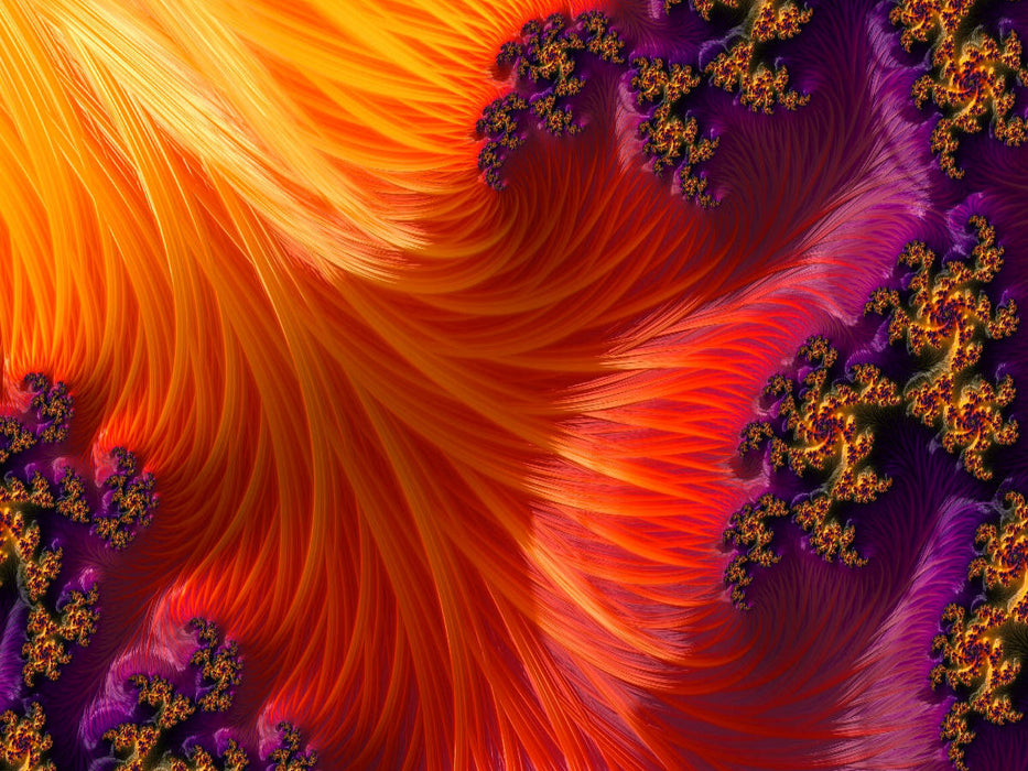 orange streams - CALVENDO Foto-Puzzle'