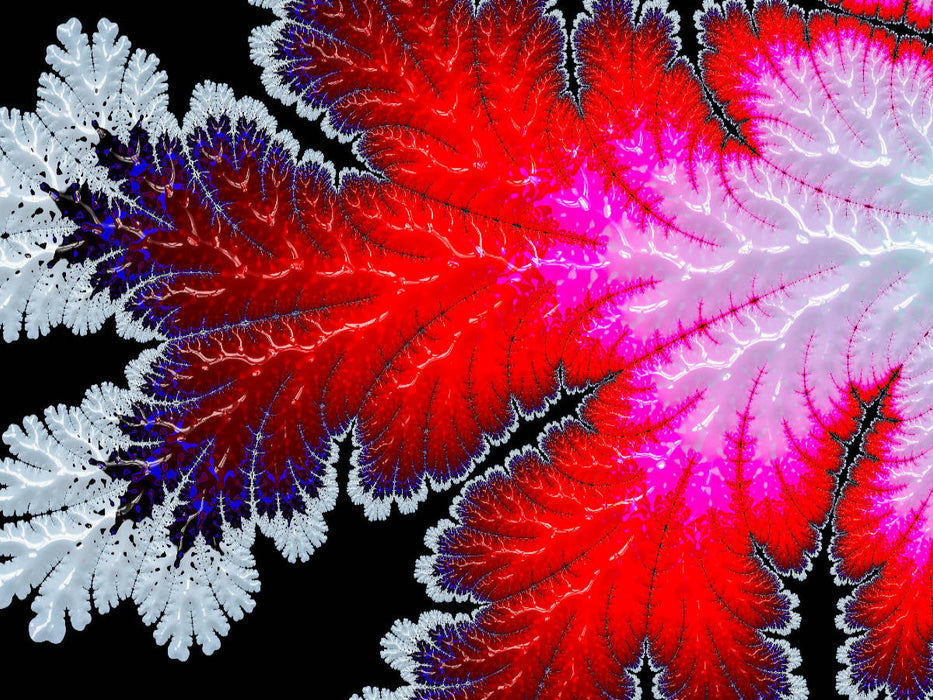 frozen leaf - CALVENDO Foto-Puzzle'