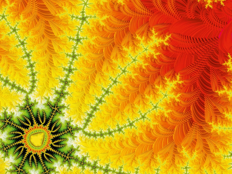 sun seed 1000 Teile Puzzle quer - CALVENDO Foto-Puzzle'