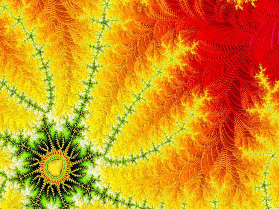 sun seed - CALVENDO Foto-Puzzle'