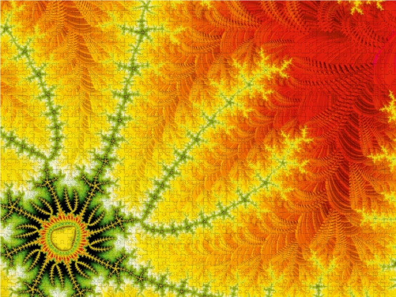 sun seed 1000 Teile Puzzle quer - CALVENDO Foto-Puzzle'