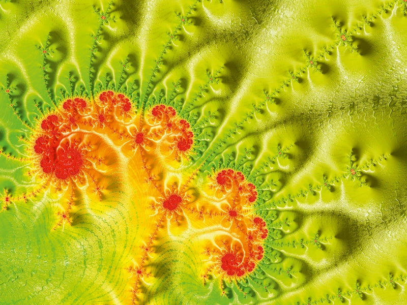 spring flower 1000 Teile Puzzle quer - CALVENDO Foto-Puzzle'