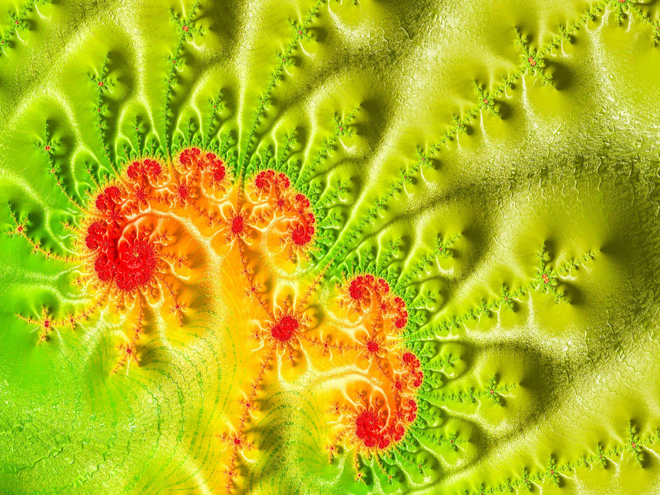 spring flower - CALVENDO Foto-Puzzle'