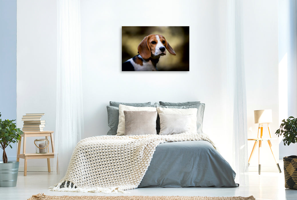Premium Textil-Leinwand Premium Textil-Leinwand 120 cm x 80 cm quer Beagle-Portrait