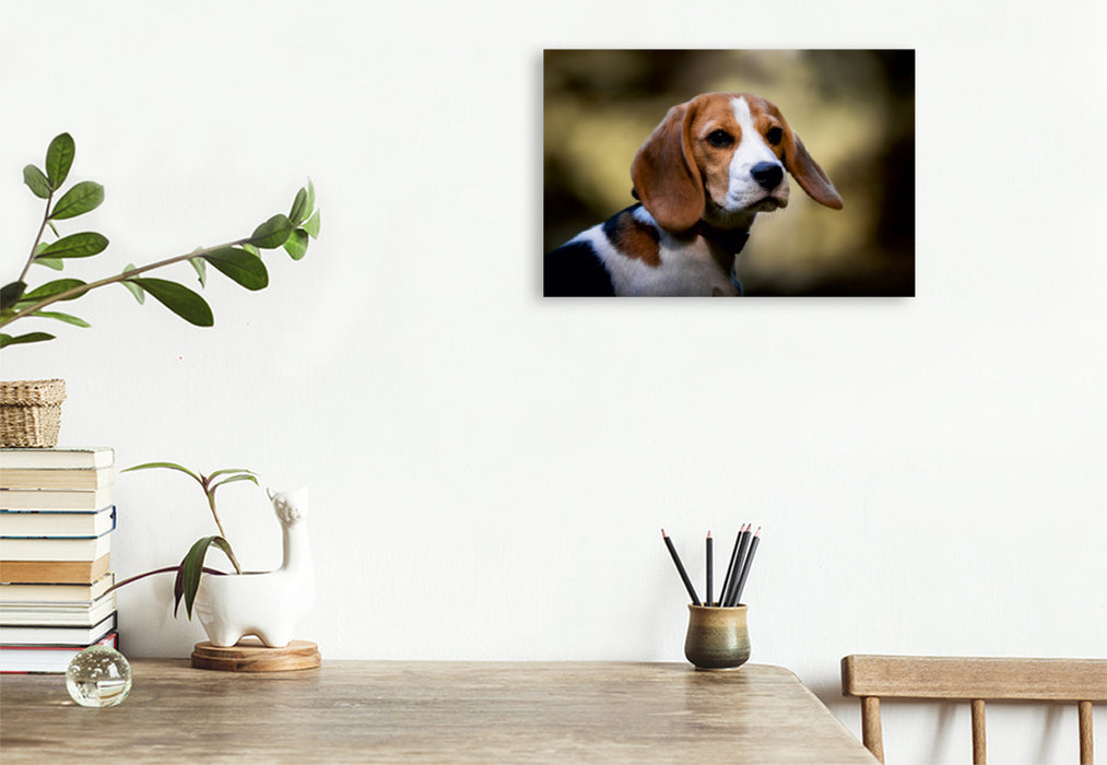 Toile textile premium Toile textile premium 120 cm x 80 cm paysage portrait Beagle 