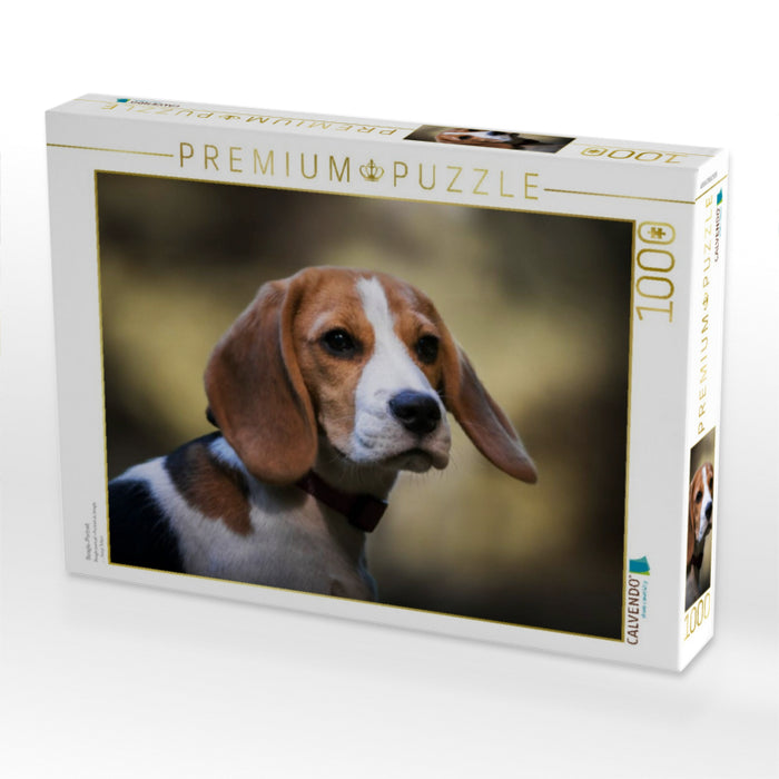 Beagle-Portrait - CALVENDO Foto-Puzzle'