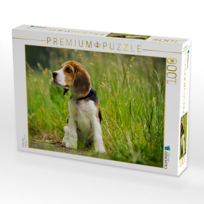 Beagle-Welpe - CALVENDO Foto-Puzzle'