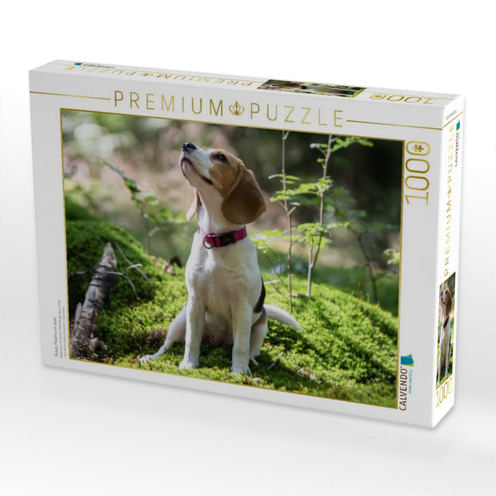 Beagle-Mädchen im Wald - CALVENDO Foto-Puzzle'