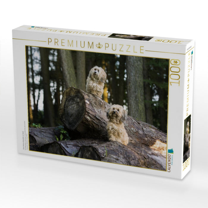 Zwei kleine Kobolde im Wald. - CALVENDO Foto-Puzzle'