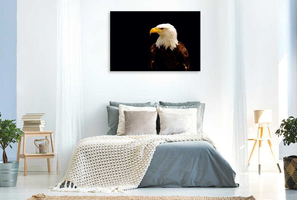 Premium Textil-Leinwand Premium Textil-Leinwand 120 cm x 80 cm quer Weißkopfseeadler