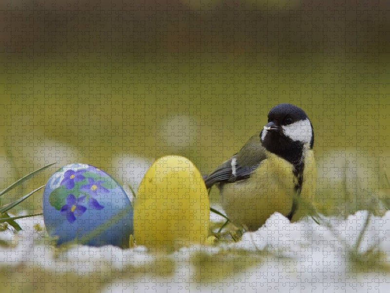 Kohlmeise mit Ostereier - CALVENDO Foto-Puzzle'