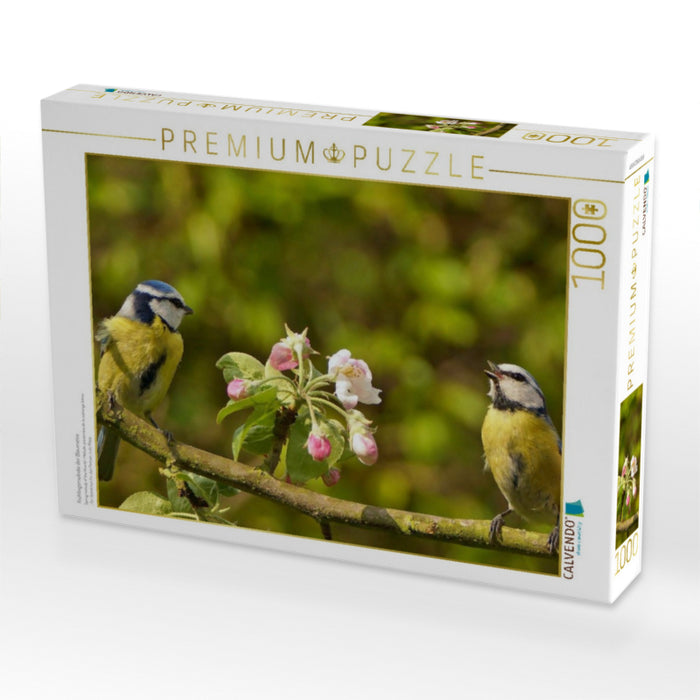 Frühlingsmelodie der Blaumeise - CALVENDO Foto-Puzzle'