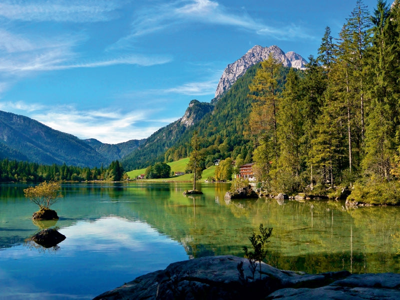 Im Wald am Hintersee 1000 Teile Puzzle quer - CALVENDO Foto-Puzzle'