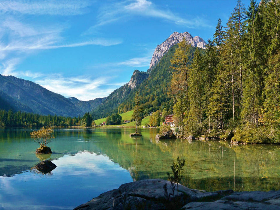 Im Wald am Hintersee - CALVENDO Foto-Puzzle'