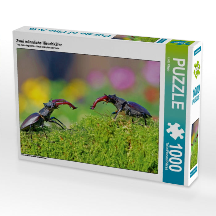 Zwei männliche Hirschkäfer 1000 Teile Puzzle quer - CALVENDO Foto-Puzzle'