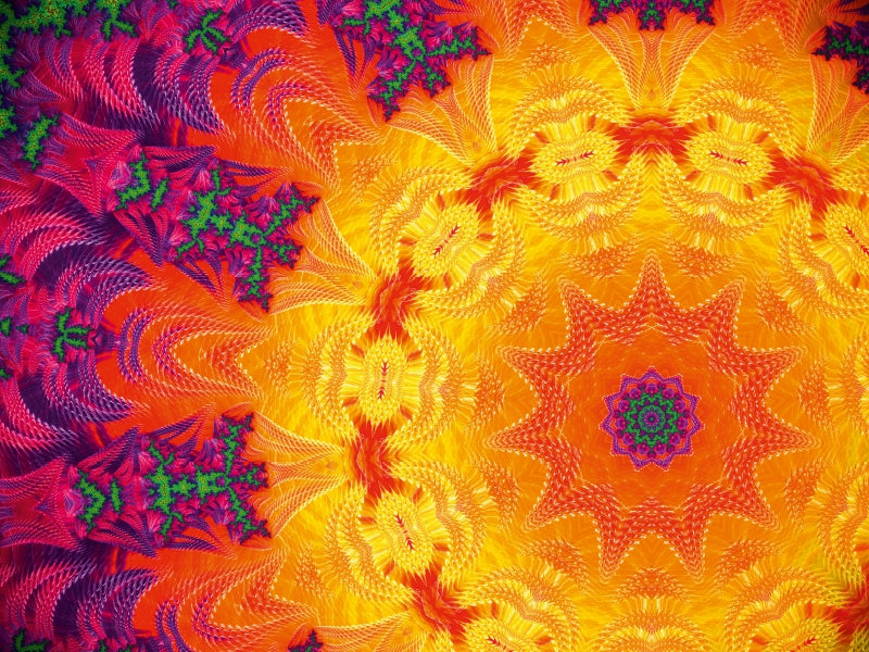 sun gazing 1000 Teile Puzzle quer - CALVENDO Foto-Puzzle'