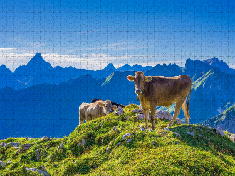 Allgäuer Braunvieh - CALVENDO Foto-Puzzle'