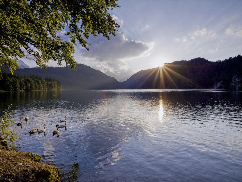 Alpsee bei Füssen 1000 Teile Puzzle quer - CALVENDO Foto-Puzzle'