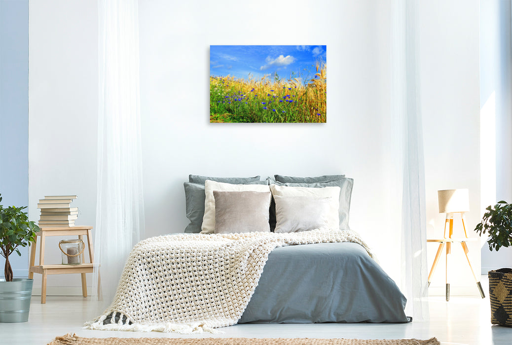Premium Textil-Leinwand Premium Textil-Leinwand 120 cm x 80 cm quer Ein Motiv aus dem Kalender Kornblumen - Blaue Schönheiten