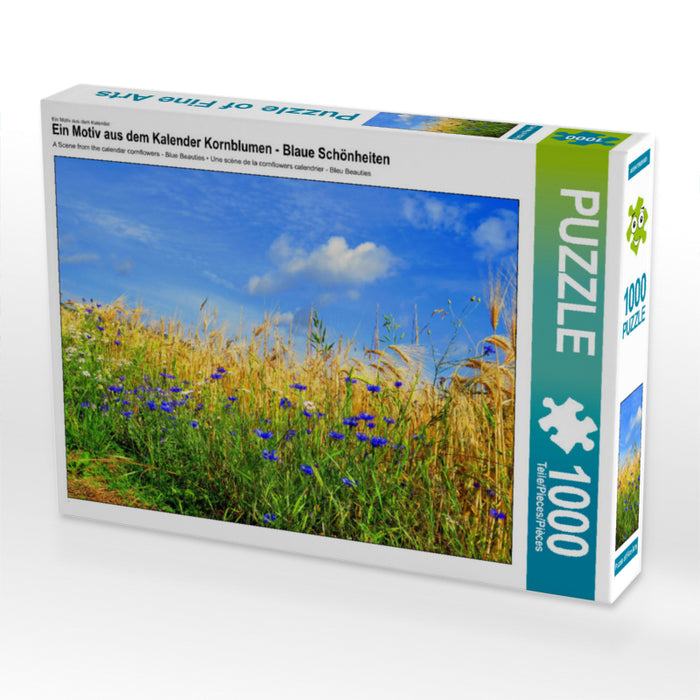 Ein Motiv aus dem Kalender Kornblumen - Blaue Schönheiten 2000 Teile Puzzle quer - CALVENDO Foto-Puzzle'