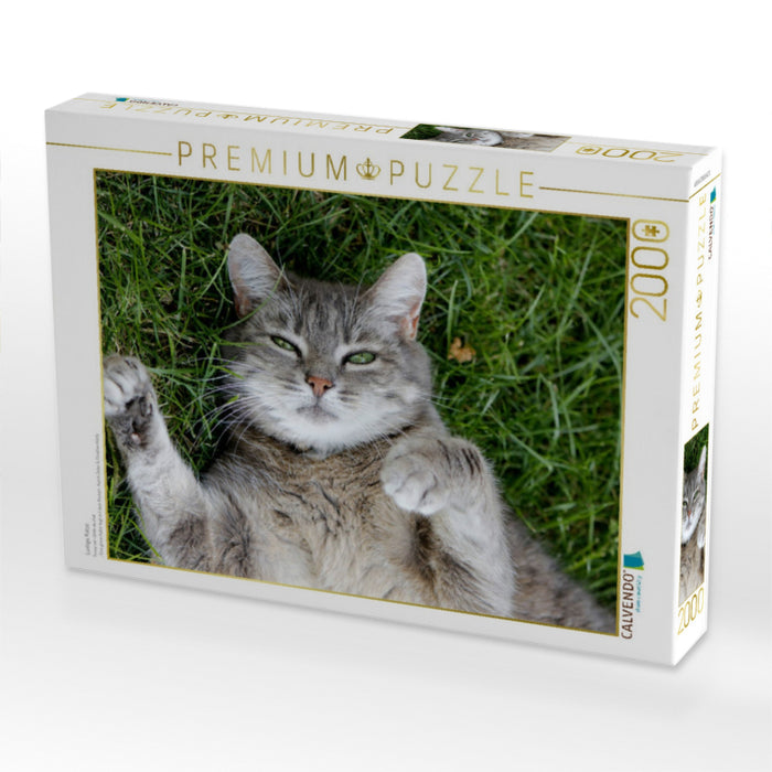 Lustige Katze - CALVENDO Foto-Puzzle'