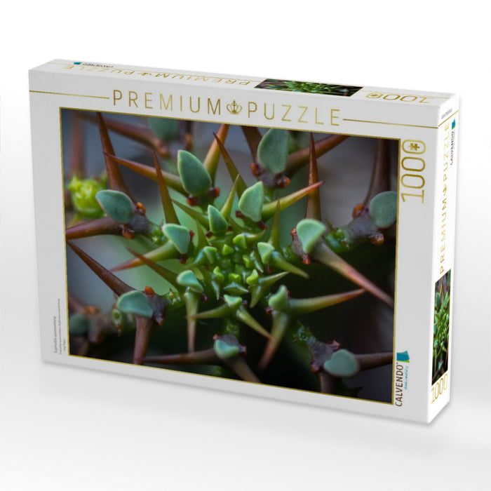 Euphorbia avasmontana - CALVENDO Foto-Puzzle'